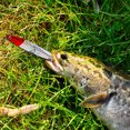thumbnail image 3 of WDOplteas 10/14/18/24g Señuelo Pesca Metal Lápiz Hundimiento Cebo Duro Artificial (estilo C), 3 of 7