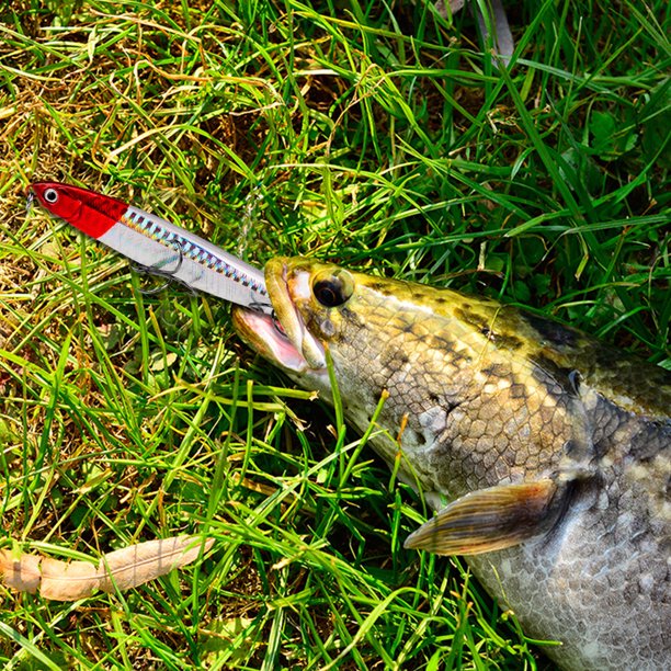 10/14/18/24g señuelo de pesca de Metal de lápiz de hundimiento de cebo duro Artificial (estilo C)