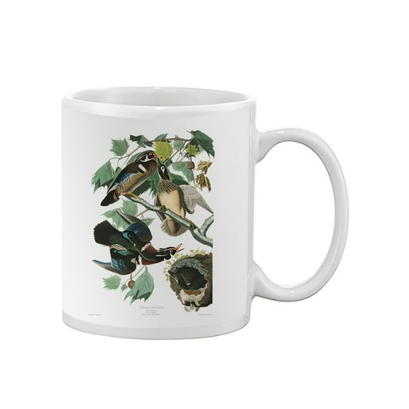 Wood Ducks Mug - John James Audubon Designs,