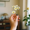 thumbnail image 4 of VQPeo 2 Bundles Mini Artificial Daisies Small Daisy Flowers Fake Spring Flowers Decorative Faux Flowers with Stems Home Decorations, 4 of 5