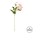 thumbnail image 2 of Vickerman FD180479 25 Po. Clematis Rose, 2 of 3