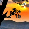 thumbnail image 4 of Silueta de rama de árbol para el Día de la Madre, Día del Padre, regalo de cumpleaños, adorno de árbol pequeña hada b, 4 of 9