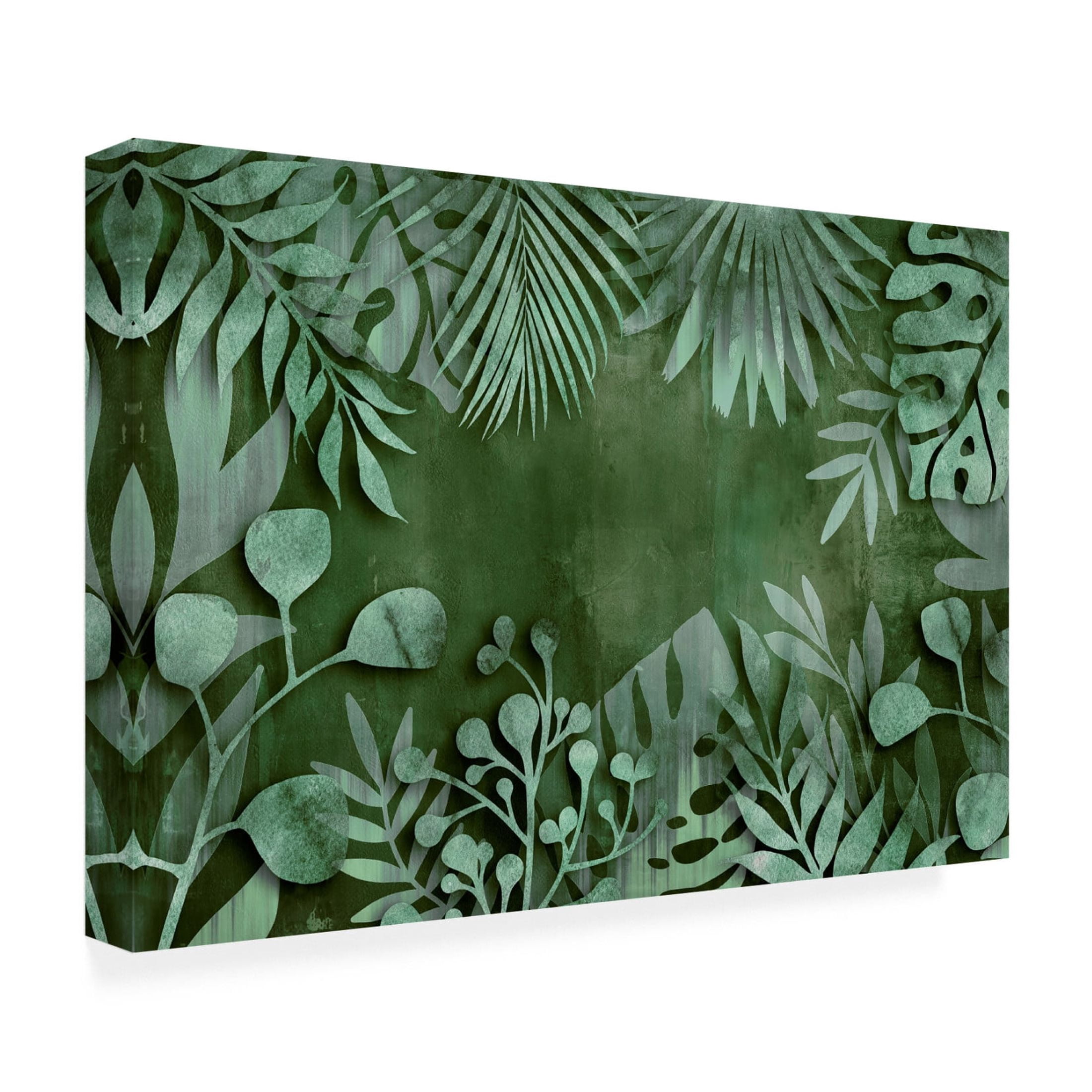 Trademark Fine Art Andrea Haase Abstract Botanical No2 Canvas Wall Art