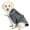Grey, variant on Pet Bathrobe Towel, Dog Hoodies Rabbit Ear Bath Robe Quick Drying Absorbent Washcloth Coat for Puppy Dogs and Cats (S, Green)