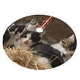 thumbnail image 2 of Kll 48" Christmas Tree Skirt Cat Family Xmas Tree Skirts Mat For New Year Xmas Holiday Party Indoor Outdoor Home Decoration, 2 of 9