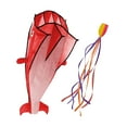 thumbnail image 3 of Cometa de delfín de 2,2 x 1,2 m para niños y adultos, ideal para actividades familiares en la playa. Rojo, 3 of 8