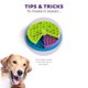 thumbnail image 4 of Juego interactivo de rompecabezas para perros y alimentador lento Outward Hound, 4 of 7