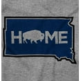 thumbnail image 2 of Visit South Dakota Home State Travel Womens Fitted Plus Size Graphic Tee Brisco Brands 2X, 2 of 5