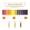 thumbnail image 3 of 20 Packs Litmus pH Test Strips, Universal Application pH 1-14 Test Paper, 1600 pH Strips in Total, 3 of 5