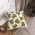 thumbnail image 3 of DouZhe Velvet Decorative Throw Pillow Covers Set of 2, Soft Square Cushion Cover with Invisible Zipper Checkered Flag Racing Colorful Printing, 18"x18", 3 of 7