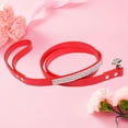 thumbnail image 4 of CBFFDC Cute Pet Leash Sparkling Design Dog Leash Hanging Hook Comfortable Artificial Leather Durable Pet Traction Rope, 4 of 7