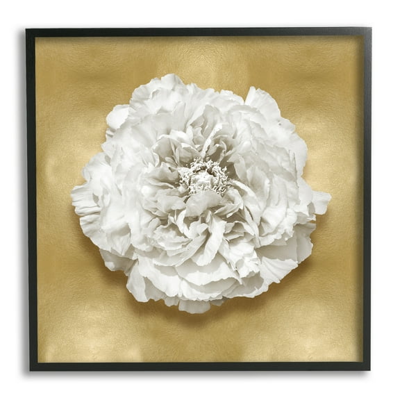 Stupell Industries Glam White Carnation Botanical & Floral Painting Black Framed Art Print Wall Art, 12 x 12