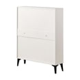 thumbnail image 6 of Large size Shoe Cabinet,Free Standing Tipping Bucket Shoe Rack Organizer with 2 Flip Drawers&2 Drawer,Modern Tipping Bucket for Entryway, Hallway, Bedroom-white, 6 of 12