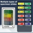 thumbnail image 4 of HLONK 60-120x Miniscope Kids  Handheld Pocket Microscope with LED Light Portable Microscope High Definition Children Microscope, 4 of 10