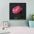 thumbnail image 4 of Epic Graffiti 'Perfectly Pink' by Leah McLean Giclee Canvas Wall Art, 12"x12", 4 of 6