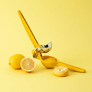 Lemon Chefn FreshForce Citrus Juicer