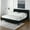 Anthracite Black, variant on Sandy Wilson Home Aspen Upholstered Platform Bed Queen Mink Beige