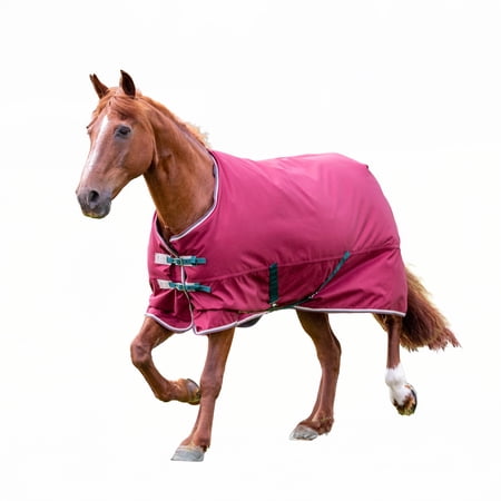 Shires Tempest 200g Turnout Blanket 72"