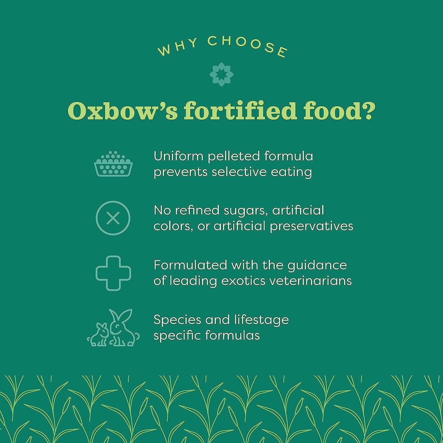Oxbow Essentials Senior Guinea Pig Food, 8lb