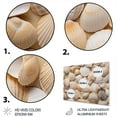 thumbnail image 3 of Designart "Beige Clam Seashell Euphony II" Clam Metal Wall Art, 3 of 5