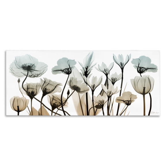 Stupell Industries Shabby Chic Mixed Transparent Flowers Canvas Art, 24 x 10, by Albert Koetsier