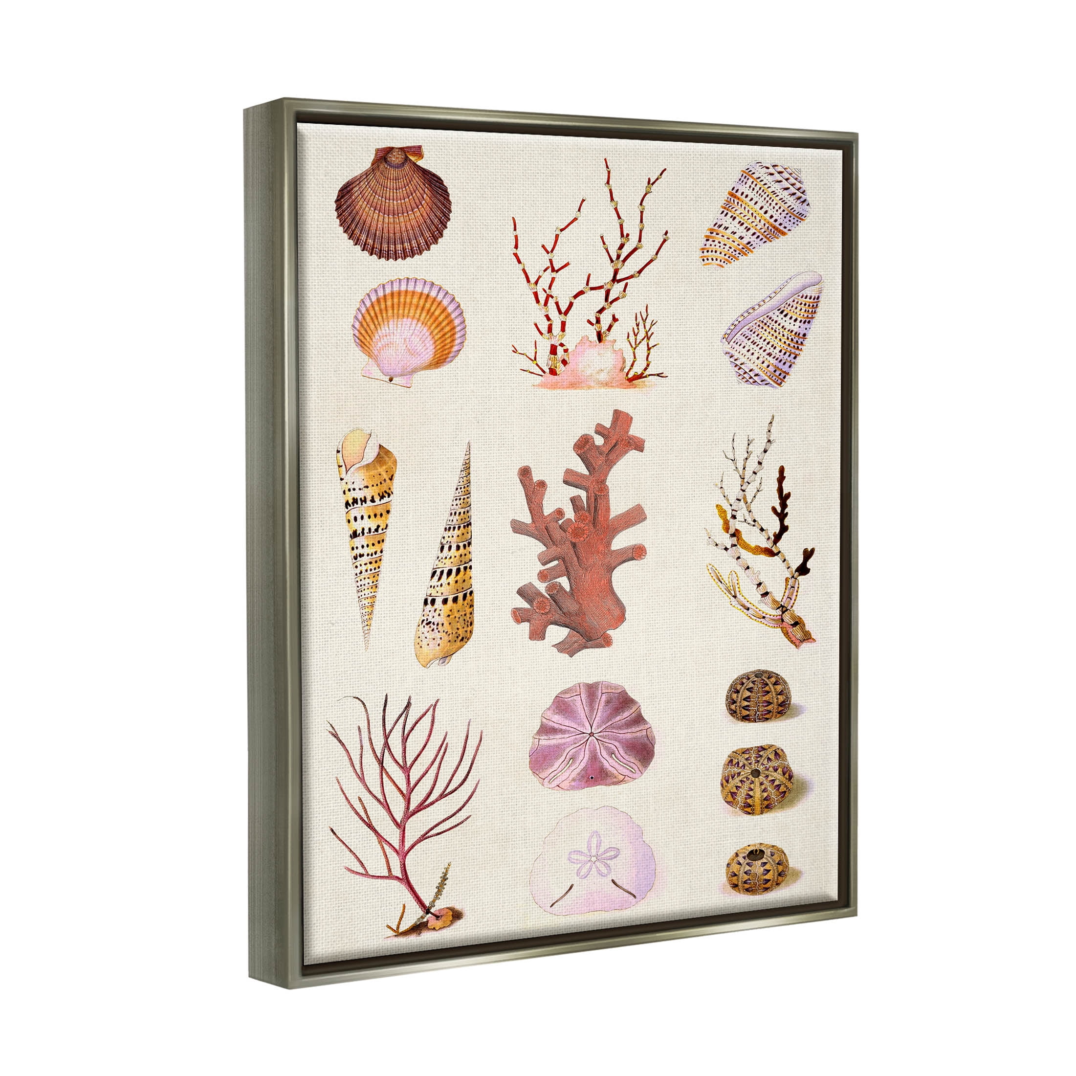 Stupell Industries Mixed Nautical Sea Life Corals Shells Graphic Art Luster Gray Floating Framed Canvas Print Wall Art, Design by Vision Studio