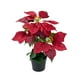 thumbnail image 2 of Decoración en maceta de flores artificiales de Navidad - Planta de plástico blanca y roja para mesa, salón, escalera - 12,6 pulgadas, 2 of 6