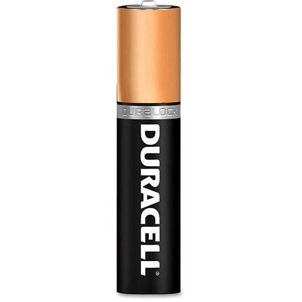 Duracell CopperTop Alkaline Batteries, AAA, 8/PK, 40 PK/Carton -DURMN2400B8ZCT