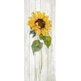 thumbnail image 2 of Swatland, Sally 12x24 Black Ornate Wood Framed with Double Matting Museum Art Print Titled - Sunflower in Autumn I, 2 of 4