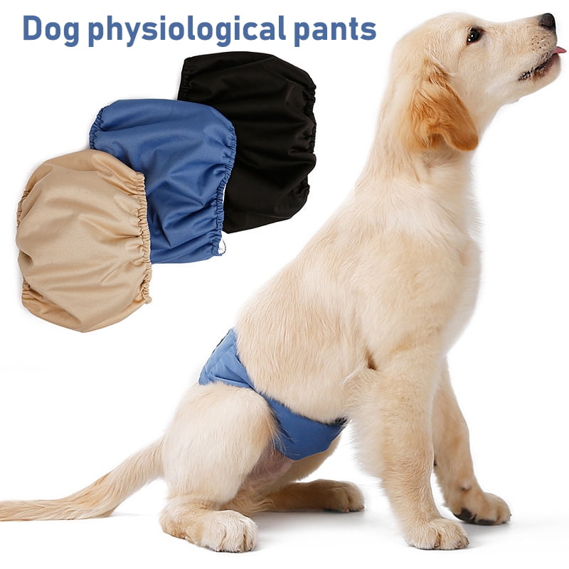 What Is A Belly Band For Female Dogs