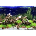 thumbnail image 3 of Yirtree Artificial Aquarium Ornament Aquatic Grass Lawn Turf /Underwater Plastic Green Plant for Home Office Saltwater Freshwater Tropical Fish Tank Decorations, 3 of 7