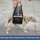 thumbnail image 4 of Dog Carry Sling, Emergency Backpack Pet Legs Support & Rehabilitation Dog (black) Lift Harness For N, 4 of 5