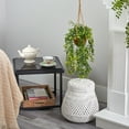 thumbnail image 4 of Nearly Natural 20" Baby Tear Artificial Plant in Hanging Basket in Green, 4 of 4