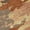 Paprika, variant on Addison Rugs Chantille Indoor/Outdoor Transitional Abstract Black Machine Washable Rectangle Rug, 10' x 14'