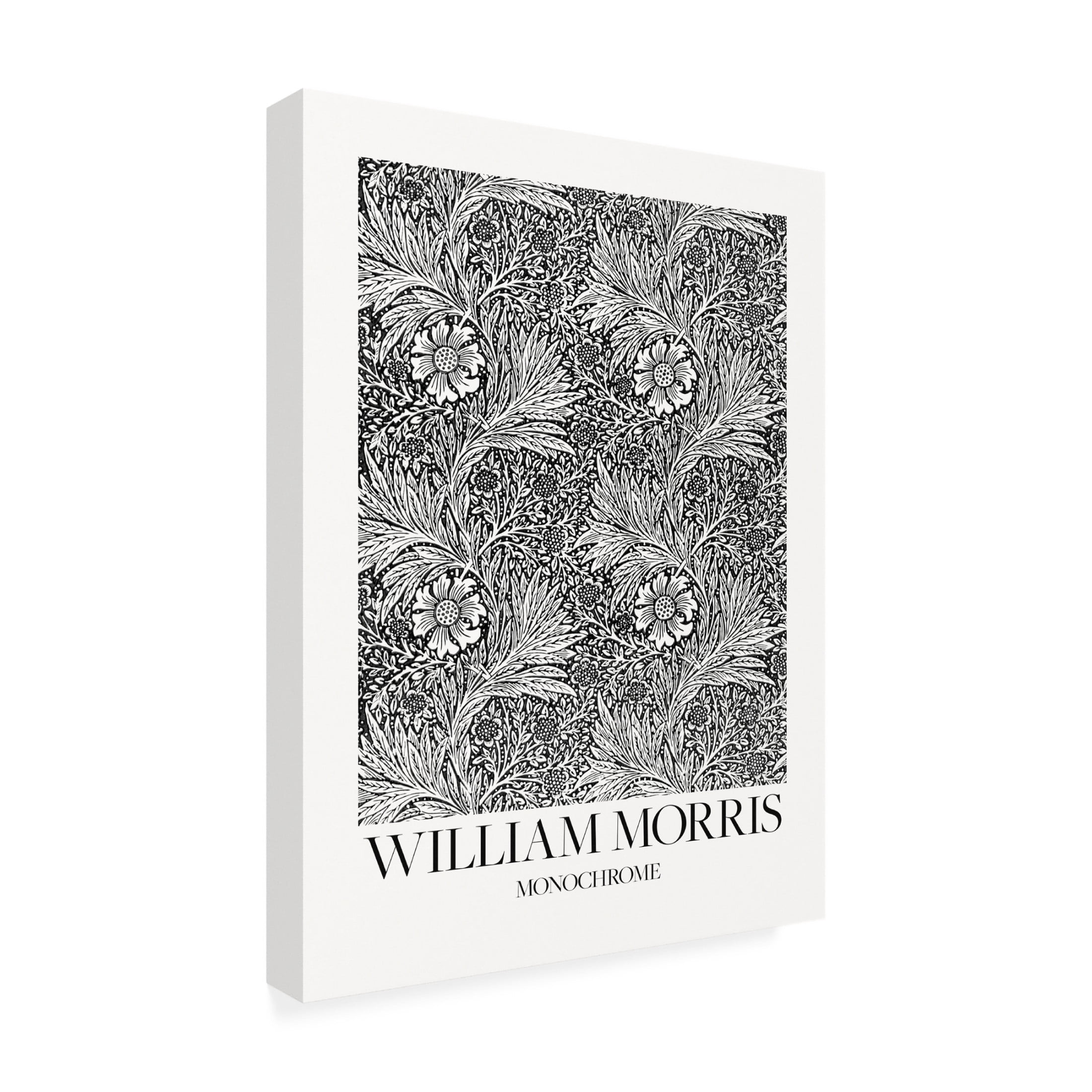 Trademark Fine Art Pictufy Marigold Monochrome Canvas Wall Art