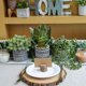 thumbnail image 3 of Set de plantas artificiales en maceta Winlyn Succulents Snake Plant x3, 3 of 9