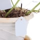thumbnail image 5 of Etiquetas para plántulas DIY, 300 Uds., etiquetas creativas para plantas y flores, herramientas de jardín (blanco) Likrtyny Para estrenar, 5 of 6