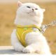 thumbnail image 5 of Juego de arnés y correa para cachorros y gatos, arnés Escape Cat, chaleco de malla suave reflectante ajustable para cachorros, gatitos, conejos y hurones, arnés para exteriores (cian), 5 of 5