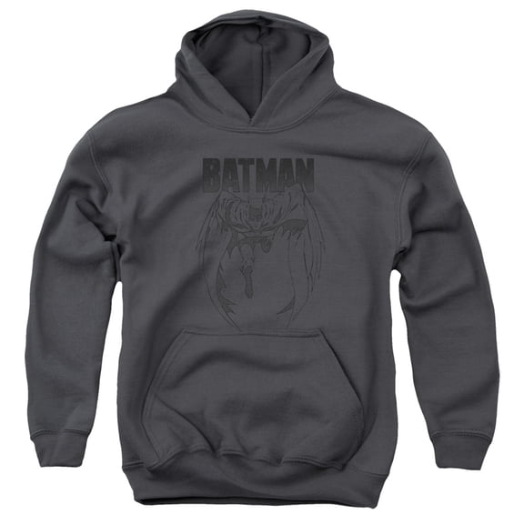 Batman - Grey Noise - Youth Hooded Sweatshirt - Large