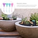 thumbnail image 5 of 20pcs muñeco de muñecas plástico globo miniatura paisaje globo hada jardín decoración, 5 of 6