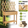 thumbnail image 2 of Laicejoy Wood Raised Garden Bed w/ Trellis, Mobile Elevated Planter for Climbing Plants w/ Storage Shelf, Lockable Wheels, Liner, 2 of 8