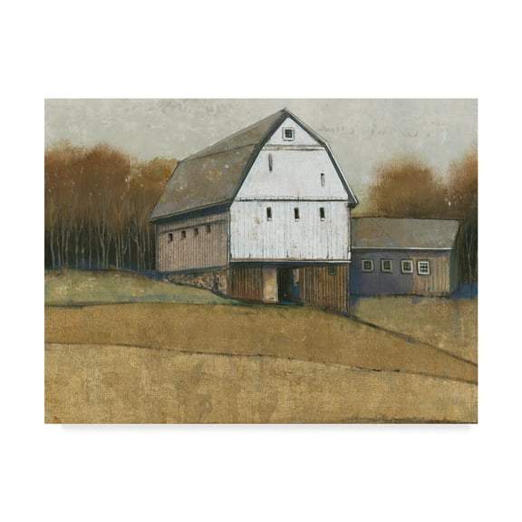 Trademark Fine Art 'White Barn View II' Canvas Art by Tim OToole