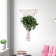 thumbnail image 2 of Tapiz tejido con cuerda de algodón hecho a mano para colgar en la pared, estilo bohemio, decoraciones para el hogar, decoración de pared, palo de madera con cuerda de algodón, decoración colgante, 2 of 8