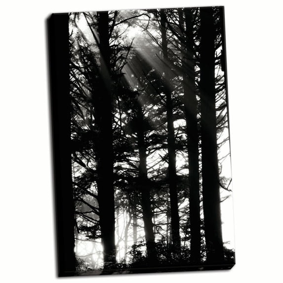 Gango Home Decor Light and Shadows II by Erin Berzel (Ready to Hang); One 24x36in Hand-Stretched Canvas