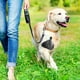 thumbnail image 5 of EeaseMX 5 soportes para bolsas de excrementos de perro, manos libres, para transportar bolsas de desechos de perro., 5 of 8
