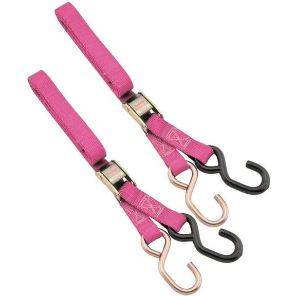 Bike Master 100503 1 in. Nylon Tiedown - Pink