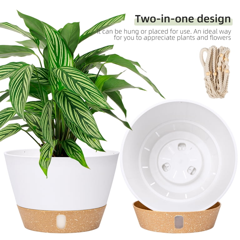 Hanging Planters, 8 Inch, White, 2-Pack photo 6
