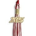thumbnail image 2 of Endea Graduation Red/White Mixed Color Graduation Tassel with Gold Date Drop, 2 of 11