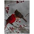 thumbnail image 2 of Northlight Lighted Red Cardinals and Berries Christmas Canvas Wall Art 15.75" x 11.75", 2 of 6