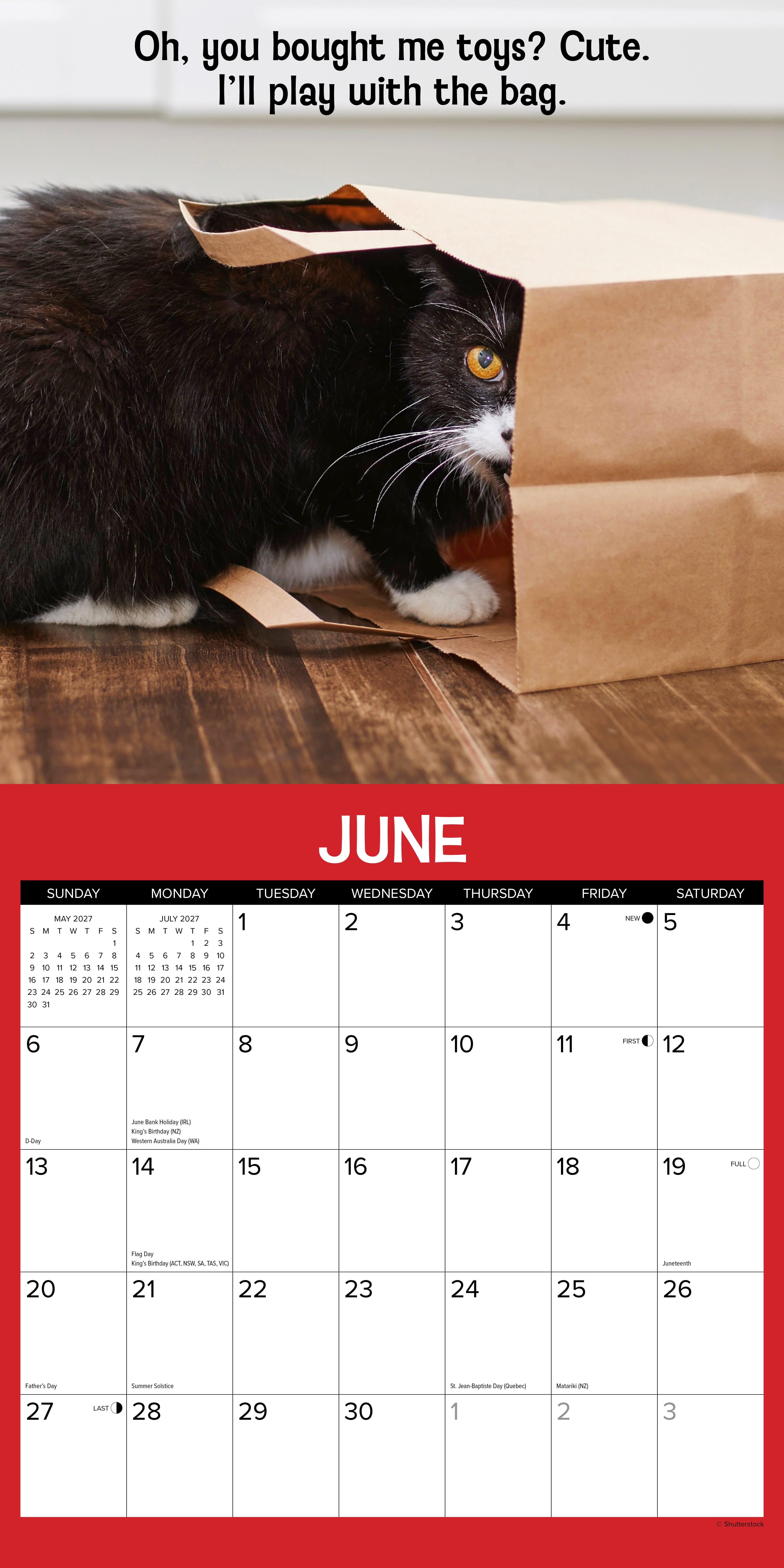 Willow Creek Press, Cattitudes 2027 Wall Calendar